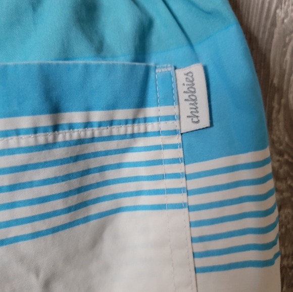 Chubbies Multicolor Striped Men's Swim Trunks - Picture 3 of 4